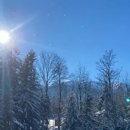 Zolty Apartmán Kościelisko