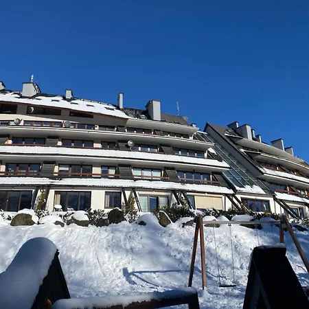 Zolty * Kościelisko