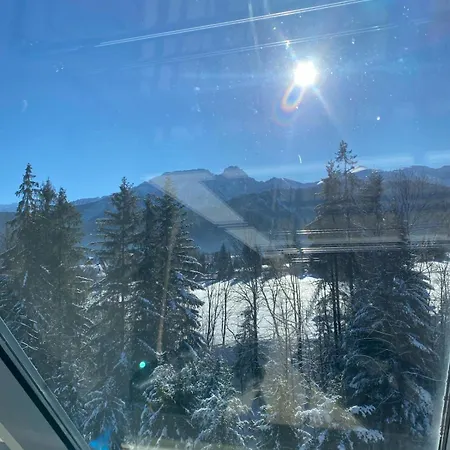 Zolty * Kościelisko