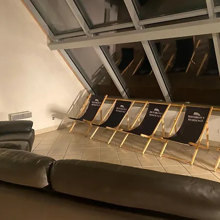 Zolty * كوشتيليسكا