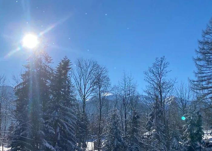 Zolty Lägenhet Kościelisko