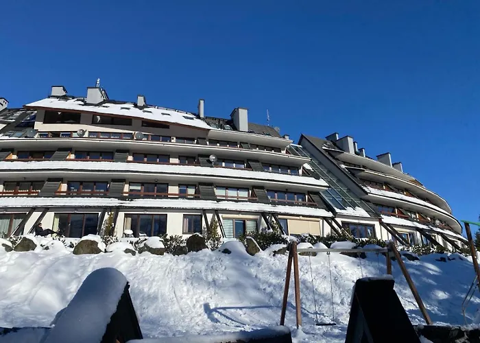 Zolty * Kościelisko