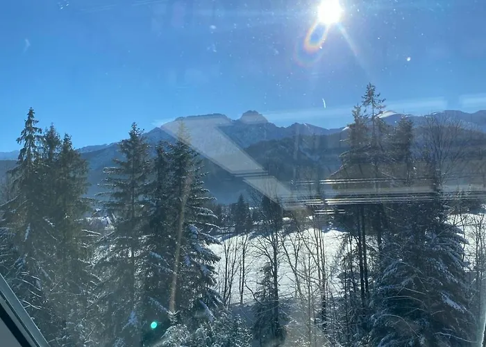 Zolty * Kościelisko