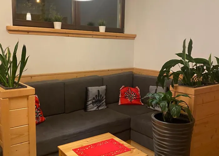 Zolty * Kościelisko